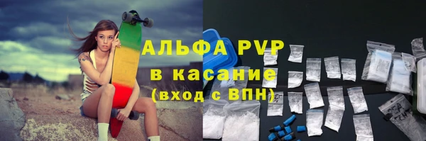 гашик Арсеньев