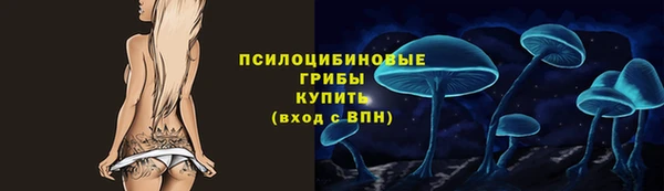 гашик Арсеньев