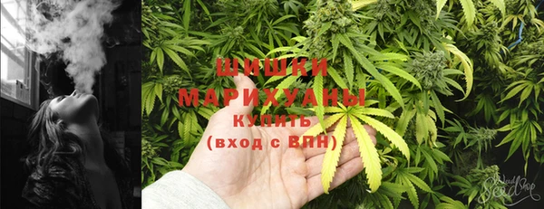 гашик Арсеньев