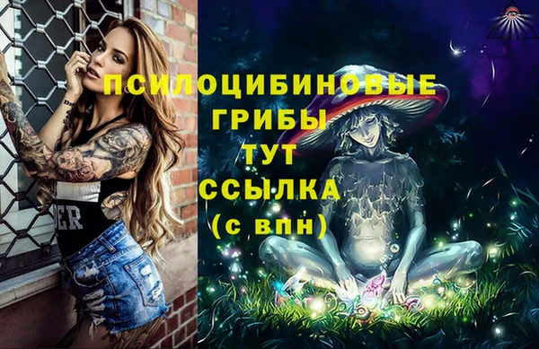 гашик Аркадак