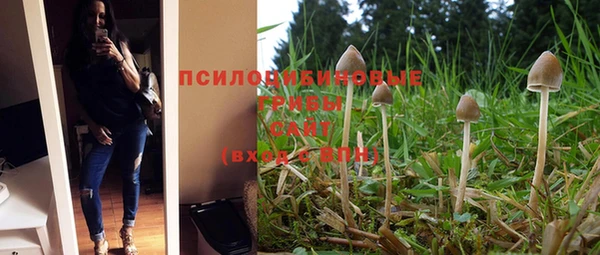 гашик Аркадак